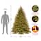 7.5ft. Pre-Lit Feel-Real® Nordic Spruce® Artificial Christmas Tree, Clear Lights